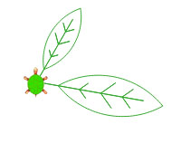 Admin JavaBlume Blatt2.jpg