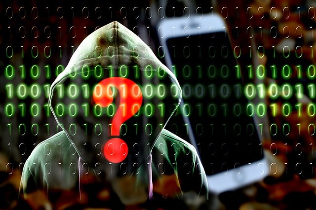 Anpet_Cyber-4444448_640.jpg