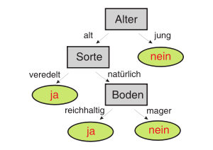 baum.png