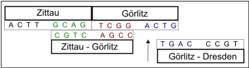 dna_3.png