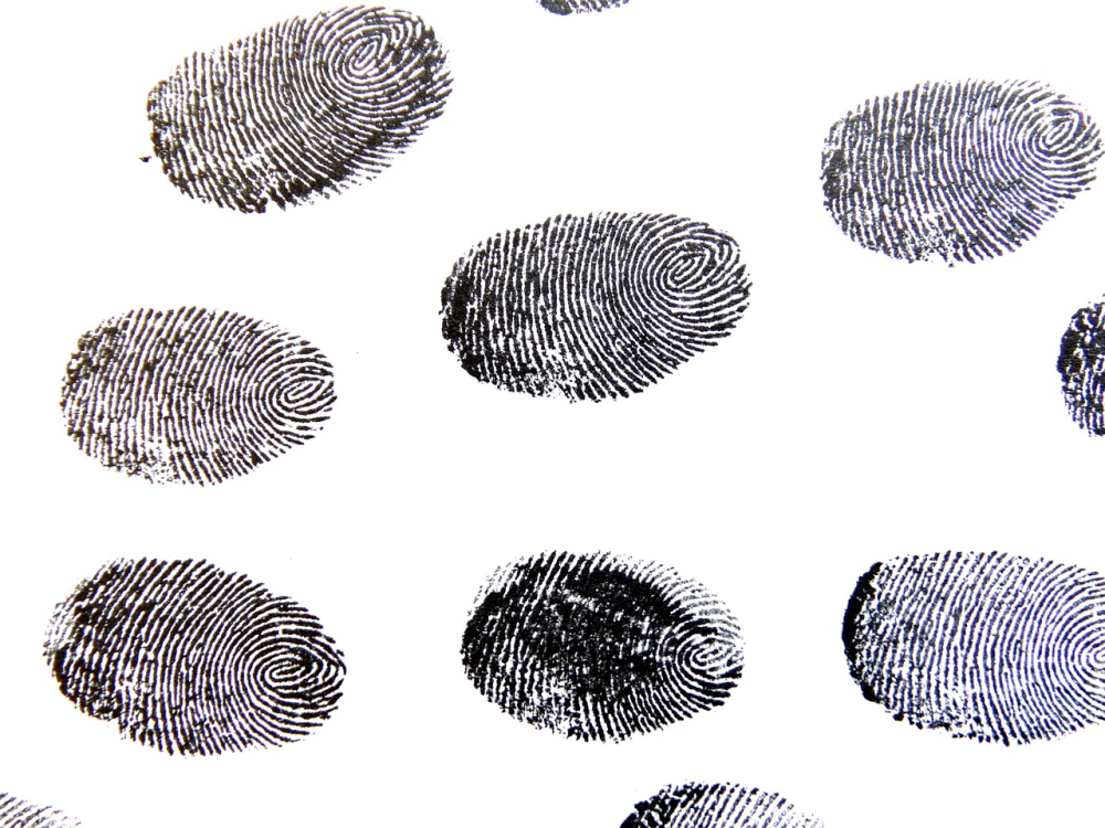 JohaB Fingerprint-456486 1280.jpg
