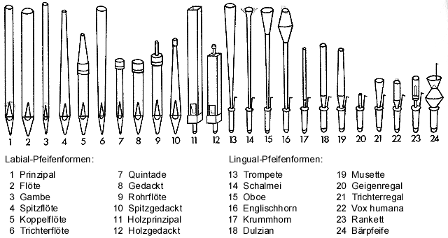 Kleinergrusch16_Orgel_pfeifenformen.gif