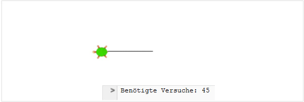Koehler_Turtle6_Rennen1.jpg