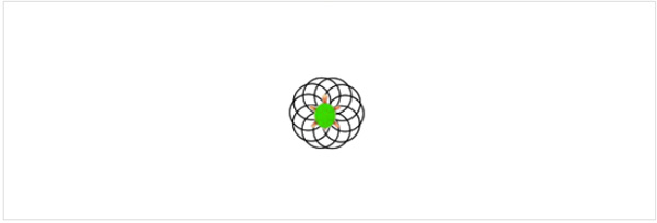 Koehler_Turtle8_Blume.jpg