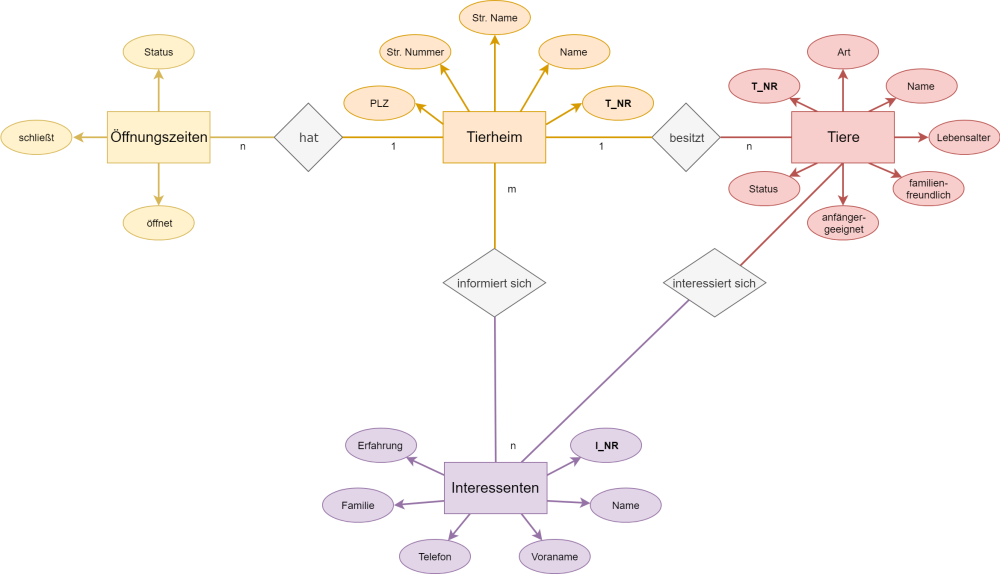 Lea Sophie ERM (1).png