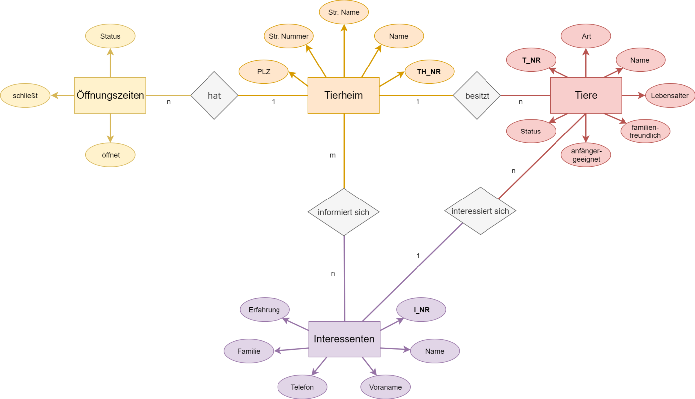 Lea Sophie_ERM_(2).png