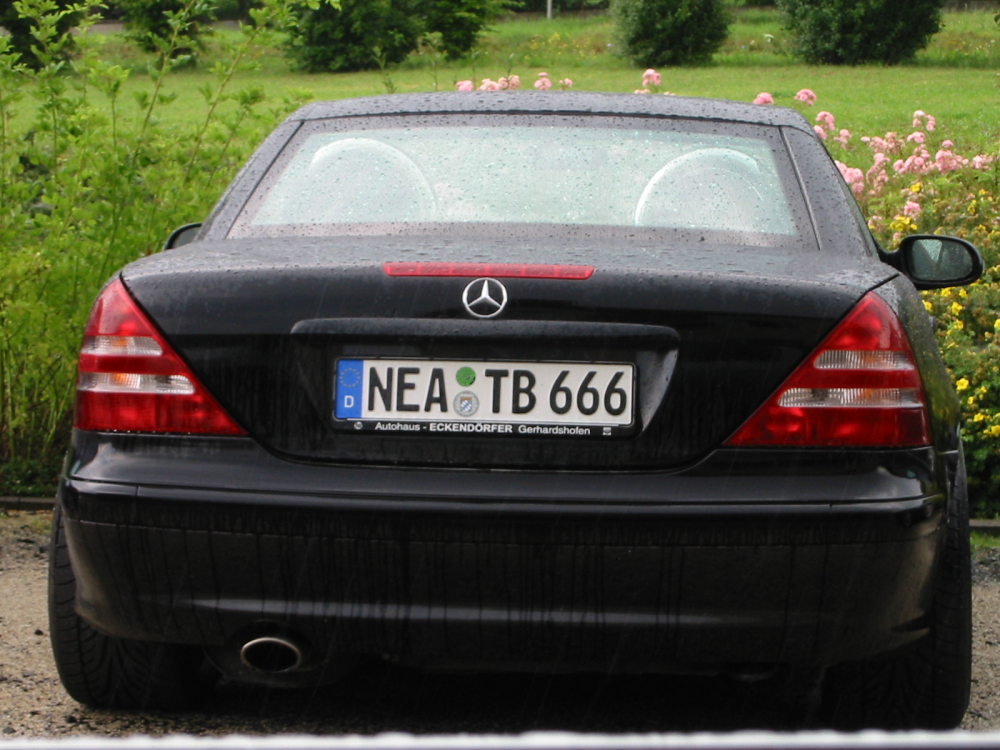 NEA-Mercedes.JPG