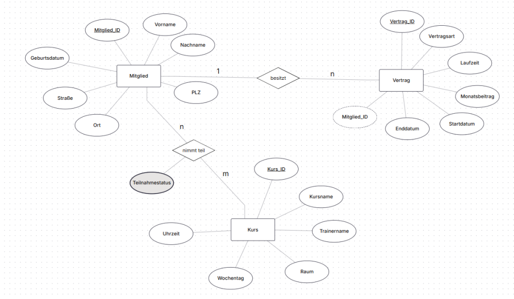 Nels Screenshot 2026-02-02 110444.png