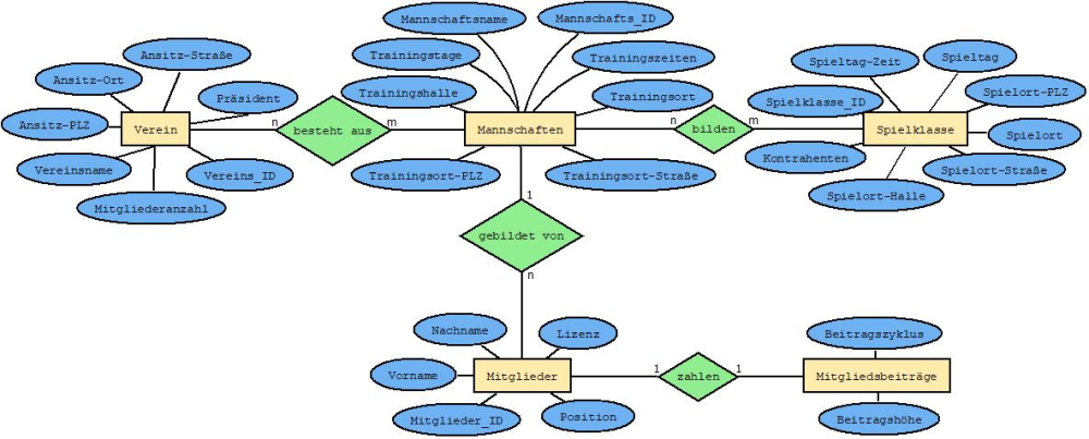 NiederNic Diagramm321.jpeg
