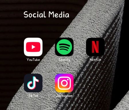 Sa.sch Sozial Media.jpg