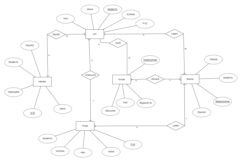 Schulsprecher Erdplus-diagram (3).png