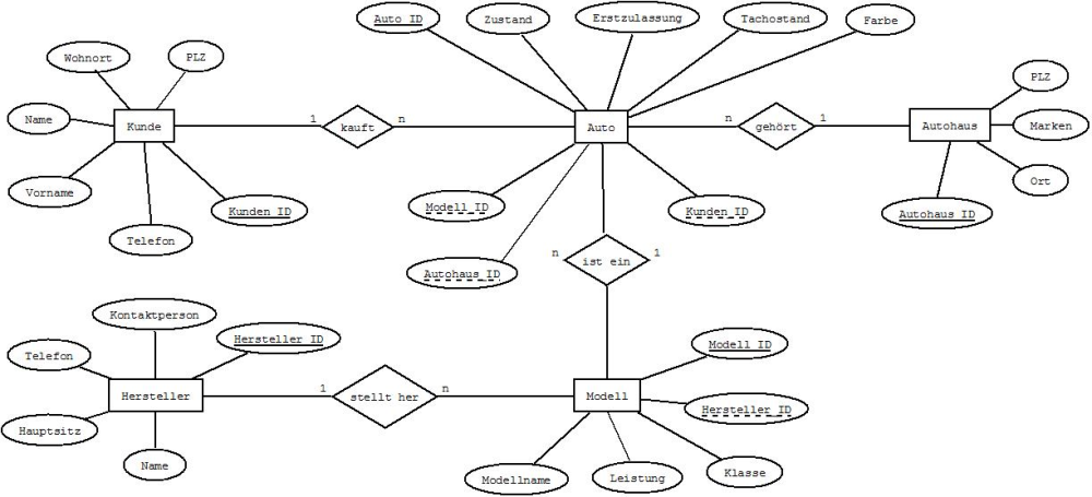 Stechern Diagram1.jpg