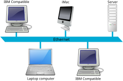 Tim P007_Ethernet_LAN.svg.png